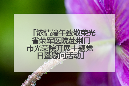 浓情端午致敬荣光 省荣军医院赴荆门市光荣院开展主题党日暨慰问活动