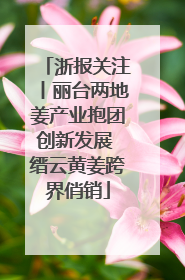 浙报关注丨丽台两地姜产业抱团创新发展 缙云黄姜跨界俏销
