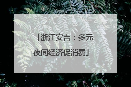 浙江安吉：多元夜间经济促消费