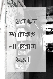 浙江海宁盐官推动乡村片区组团发展