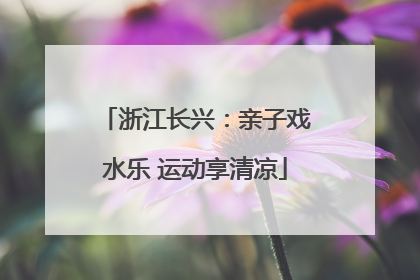 浙江长兴：亲子戏水乐 运动享清凉
