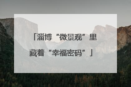淄博“微景观”里藏着“幸福密码”