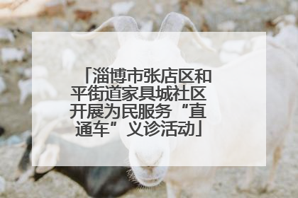 淄博市张店区和平街道家具城社区开展为民服务“直通车”义诊活动