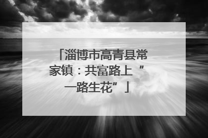 淄博市高青县常家镇：共富路上“一路生花”