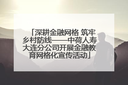 深耕金融网格 筑牢乡村防线——中荷人寿大连分公司开展金融教育网格化宣传活动