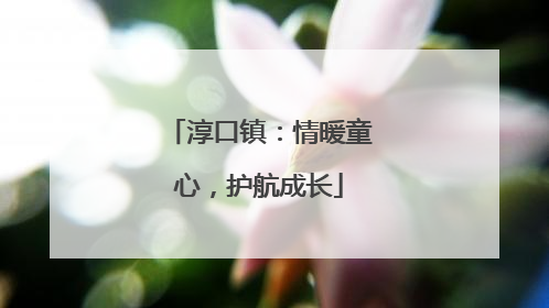 淳口镇：情暖童心，护航成长