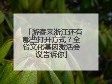 游客来浙江还有哪些打开方式？全省文化基因激活会议告诉你