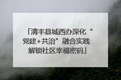 清丰县城西办深化“党建+共治”融合实践 解锁社区幸福密码