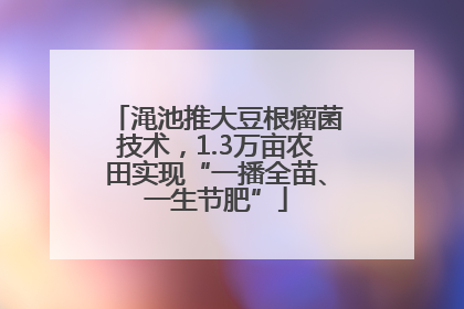 渑池推大豆根瘤菌技术，1.3万亩农田实现“一播全苗、一生节肥”