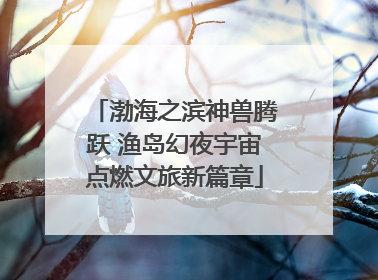 渤海之滨神兽腾跃 渔岛幻夜宇宙点燃文旅新篇章