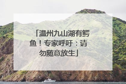温州九山湖有鳄鱼！专家呼吁：请勿随意放生