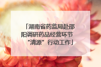湖南省药监局赴邵阳调研药品经营环节“清源”行动工作