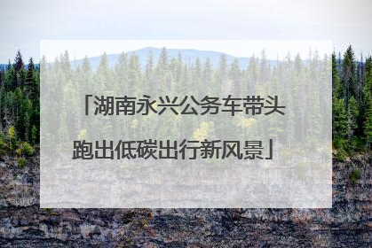 湖南永兴公务车带头跑出低碳出行新风景