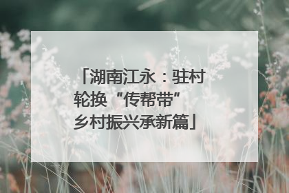 湖南江永：驻村轮换“传帮带” 乡村振兴承新篇