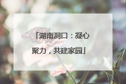 湖南洞口：凝心聚力，共建家园