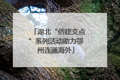 湖北“侨建支点”系列活动助力鄂州连通海外