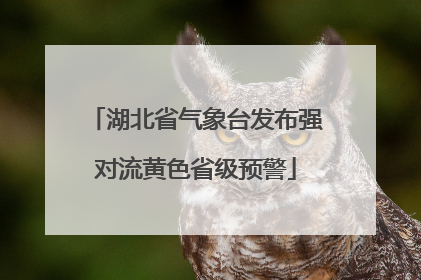 湖北省气象台发布强对流黄色省级预警