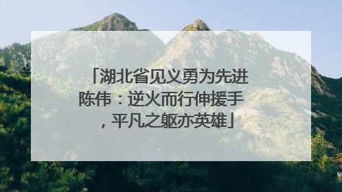 湖北省见义勇为先进陈伟：逆火而行伸援手，平凡之躯亦英雄