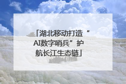 湖北移动打造“AI数字哨兵”护航长江生态链