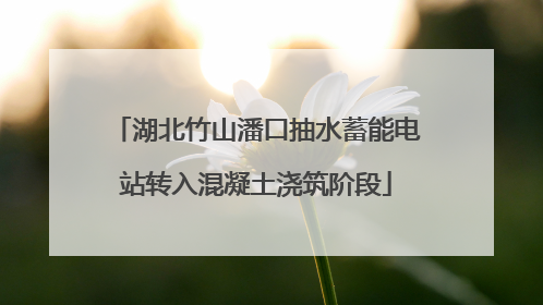 湖北竹山潘口抽水蓄能电站转入混凝土浇筑阶段