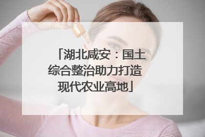湖北咸安：国土综合整治助力打造现代农业高地