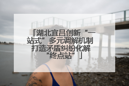 湖北宜昌创新“一站式”多元调解机制 打造矛盾纠纷化解“终点站”