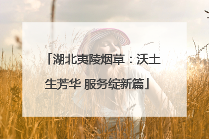 湖北夷陵烟草：沃土生芳华 服务绽新篇