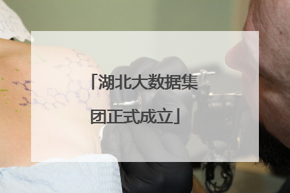 湖北大数据集团正式成立