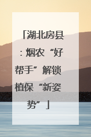 湖北房县：烟农“好帮手”解锁植保“新姿势”