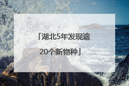 湖北5年发现逾20个新物种