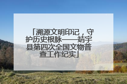 溯源文明印记，守护历史根脉——靖宇县第四次全国文物普查工作纪实