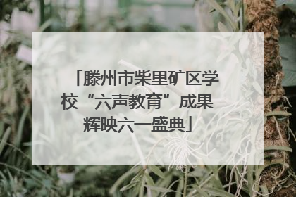 滕州市柴里矿区学校“六声教育”成果辉映六一盛典