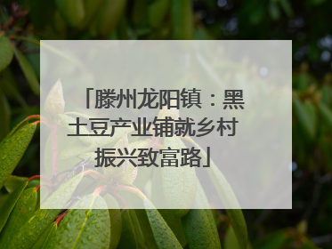 滕州龙阳镇：黑土豆产业铺就乡村振兴致富路