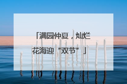 满园仲夏，灿烂花海迎“双节”