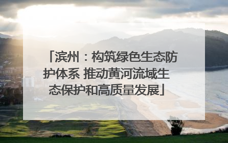 滨州：构筑绿色生态防护体系 推动黄河流域生态保护和高质量发展