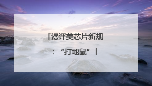 漫评美芯片新规：“打地鼠”