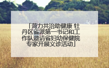 菏力共治助健康 牡丹区省派第一书记和工作队邀请省妇幼保健院专家开展义诊活动