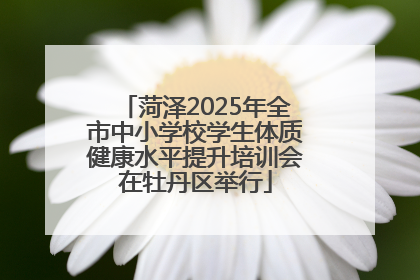 菏泽2025年全市中小学校学生体质健康水平提升培训会在牡丹区举行