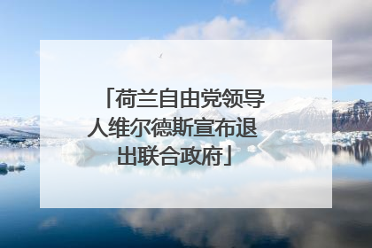 荷兰自由党领导人维尔德斯宣布退出联合政府