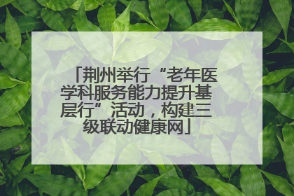 荆州举行“老年医学科服务能力提升基层行”活动，构建三级联动健康网