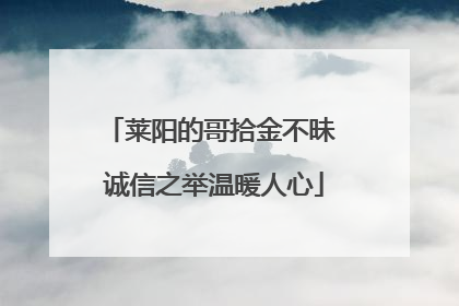 莱阳的哥拾金不昧 诚信之举温暖人心