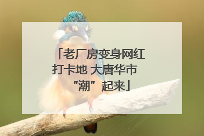 老厂房变身网红打卡地 大唐华市“潮”起来