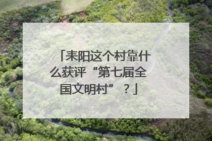 耒阳这个村靠什么获评“第七届全国文明村”？
