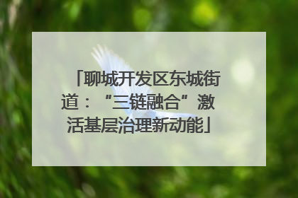 聊城开发区东城街道：“三链融合”激活基层治理新动能