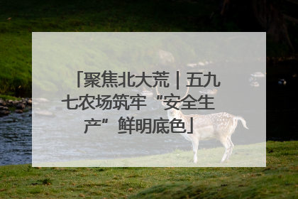 聚焦北大荒｜五九七农场筑牢“安全生产”鲜明底色