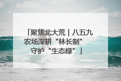 聚焦北大荒｜八五九农场深耕“林长制” 守护“生态绿”