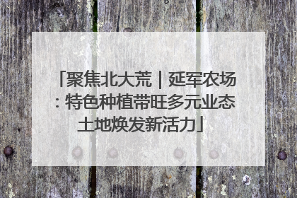 聚焦北大荒｜延军农场：特色种植带旺多元业态 土地焕发新活力