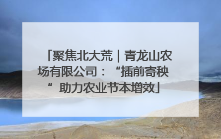 聚焦北大荒｜青龙山农场有限公司：“插前寄秧”助力农业节本增效