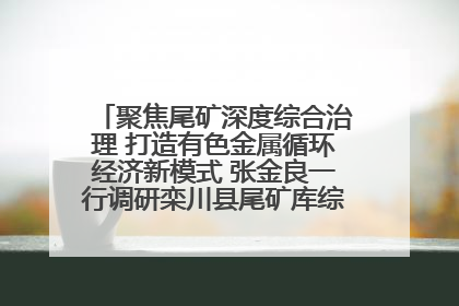 聚焦尾矿深度综合治理 打造有色金属循环经济新模式 张金良一行调研栾川县尾矿库综合治理工作