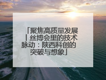 聚焦高质量发展丨丝博会里的技术脉动：陕西科创的突破与想象